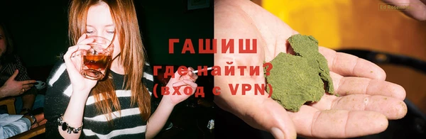 тгк Гусев