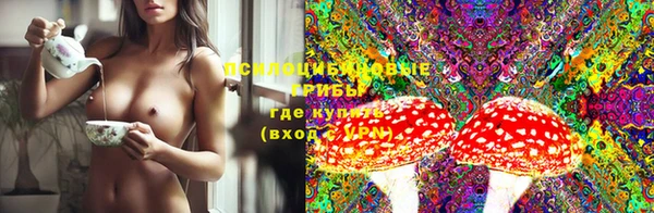тгк Гусев