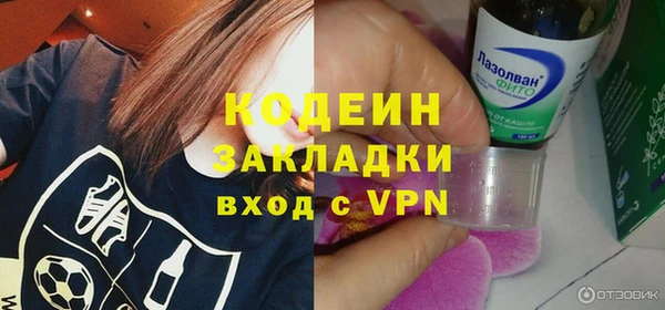 тгк Гусев