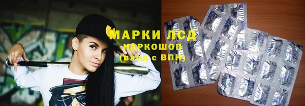 тгк Гусев